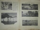 1310. Krivulė labai retas antikvarinis-kolekcinis - nuotraukos Nr. 5