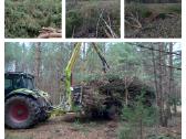 Avarinių medžių pjovimas, gyvatvorių formavimas - nuotraukos Nr. 14