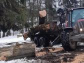 Avarinių medžių pjovimas, gyvatvorių formavimas - nuotraukos Nr. 19
