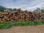Akcija -malkos miškovežiu -rąstais, Yra sausų!