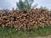 Akcija -malkos miškovežiu -rąstais, Yra sausų! - nuotraukos Nr. 2