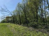 Parduodamas zemes sklypas 2.87 ha Telsiu raj. - nuotraukos Nr. 7