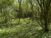 Parduodamas zemes sklypas 2.87 ha Telsiu raj. - nuotraukos Nr. 8
