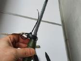 Ispaniskas durtuvas - nuotraukos Nr. 24