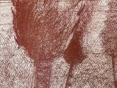 Lietuviškos estrados vinilinės plokštelės - nuotraukos Nr. 5