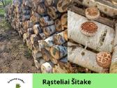 Šitake grybų rąsteliai, shiitake grybai, rąsteliai
