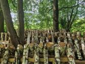 Šitake grybų rąsteliai, shiitake grybai, rąsteliai - nuotraukos Nr. 5