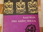 Baktrija pro amžių miglą