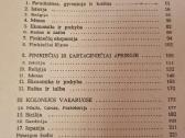 Finikiečių pasaulis - nuotraukos Nr. 4