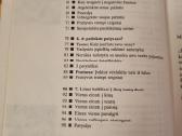 Gyveni vienas - nebūk vienišas - nuotraukos Nr. 4