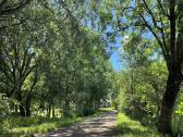 Parduodamas dvaras su 8 ha sklypu. - nuotraukos Nr. 30