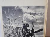 Chanono Levino fotografijų rinktinė - nuotraukos Nr. 2