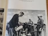 Chanono Levino fotografijų rinktinė - nuotraukos Nr. 6