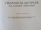Chanono Levino fotografijų rinktinė - nuotraukos Nr. 8