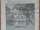 1567. Iliustruota "Lietuvos Ūkininko" Apžvalga - nuotraukos Nr. 5