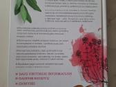 Imunitetą stiprinantys augalai - nuotraukos Nr. 6