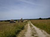 Klaipėdos r.sav Priekulės sen.,pangesų k - nuotraukos Nr. 15