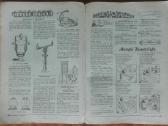1565h. Jaunasis Ūkininkas retas antikvarinis-kolek - nuotraukos Nr. 4