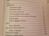 Knyga apie žmones ir daiktus - nuotraukos Nr. 4