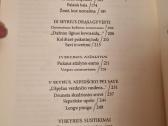 Pavėlavę lieka sotyje - nuotraukos Nr. 4