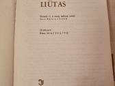 Lapė ir liūtas - nuotraukos Nr. 2