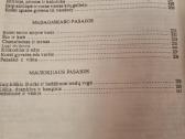 Lapė ir liūtas - nuotraukos Nr. 6