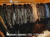 Audines kailiniai - nuotraukos Nr. 4