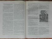 1570. Jaunimas reti antikvariniai-kolekciniai - nuotraukos Nr. 12
