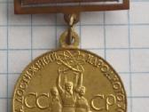 Вднх ženkliukas