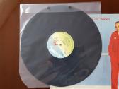Plastic sleeves 12 Lp vinyl records (aplankalai) - nuotraukos Nr. 6