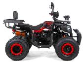 Benzininis keturratis XTR 250cc 014/10 - nuotraukos Nr. 5