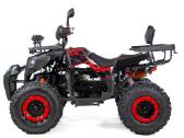 Benzininis keturratis XTR 250cc 014/10 - nuotraukos Nr. 6
