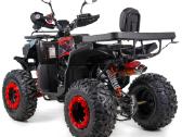 Benzininis keturratis XTR 250cc 014/10 - nuotraukos Nr. 7