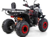 Benzininis keturratis XTR 250cc 014/10 - nuotraukos Nr. 8