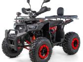 Benzininis keturratis XTR 250cc 014/10 - nuotraukos Nr. 9
