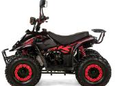 Benzininis keturratis XTR 125cc 001/7 Bigfoot - nuotraukos Nr. 15