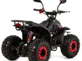 Benzininis keturratis XTR 125cc 001/7 Bigfoot - nuotraukos Nr. 17