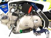 Krosinis motociklas Dt125 125cc su el. Starteriu - nuotraukos Nr. 12