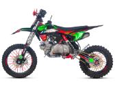 Krosinis motociklas Dt125 125cc su el. Starteriu - nuotraukos Nr. 28
