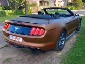 2016 mustangas - nuotraukos Nr. 2
