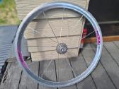 Campagnolo 28' - nuotraukos Nr. 5