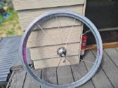 Campagnolo 28' - nuotraukos Nr. 6