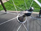 Campagnolo 28' - nuotraukos Nr. 9