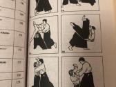 Aikido rusų kalba - nuotraukos Nr. 8