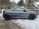 Vėjo užuolaida Peugeot 206cc (2006) 1.6 D kabrio - nuotraukos Nr. 12