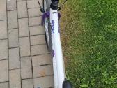BMX tipo dviratis