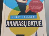 Skaityta knyga J.jackson Ananasų gatvė