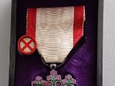 Ordinas ,Kylanti saulė“ VII klasė . Japonija