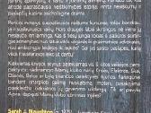 Motinos - nuotraukos Nr. 2