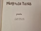 Meistras triolis pasaka - nuotraukos Nr. 2